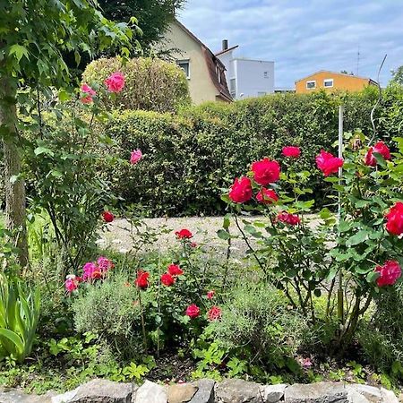 Fewo Apartment Lake Of Constance FDH Dış mekan fotoğraf