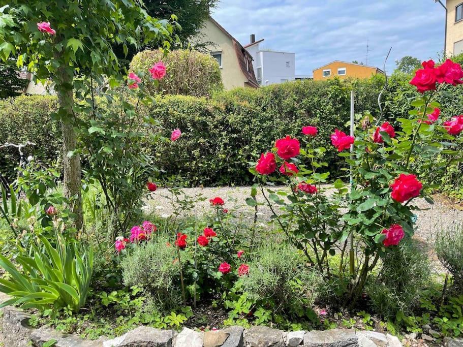 Fewo Apartment Lake Of Constance FDH Dış mekan fotoğraf